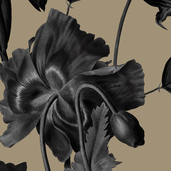 PRE ORDEN Cachetero Camel