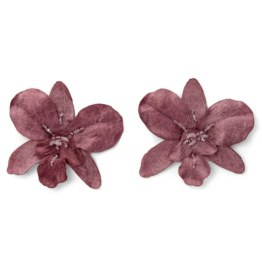 Aretes Veleña Palo de Rosa