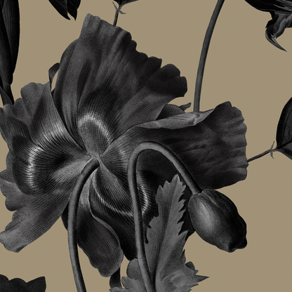 Pijama Short y Camisilla Camel